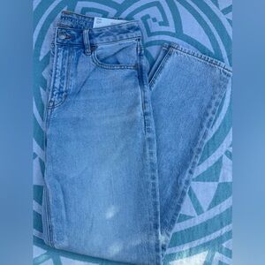 American Eagle - Strigid Mom Jean